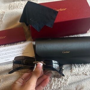Cartier Elegant Black Sunglasses